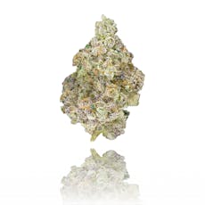 B - Paradiso - DOH Compliant -