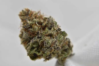 CANNA ROYALE MATRIX 3.5G - $17