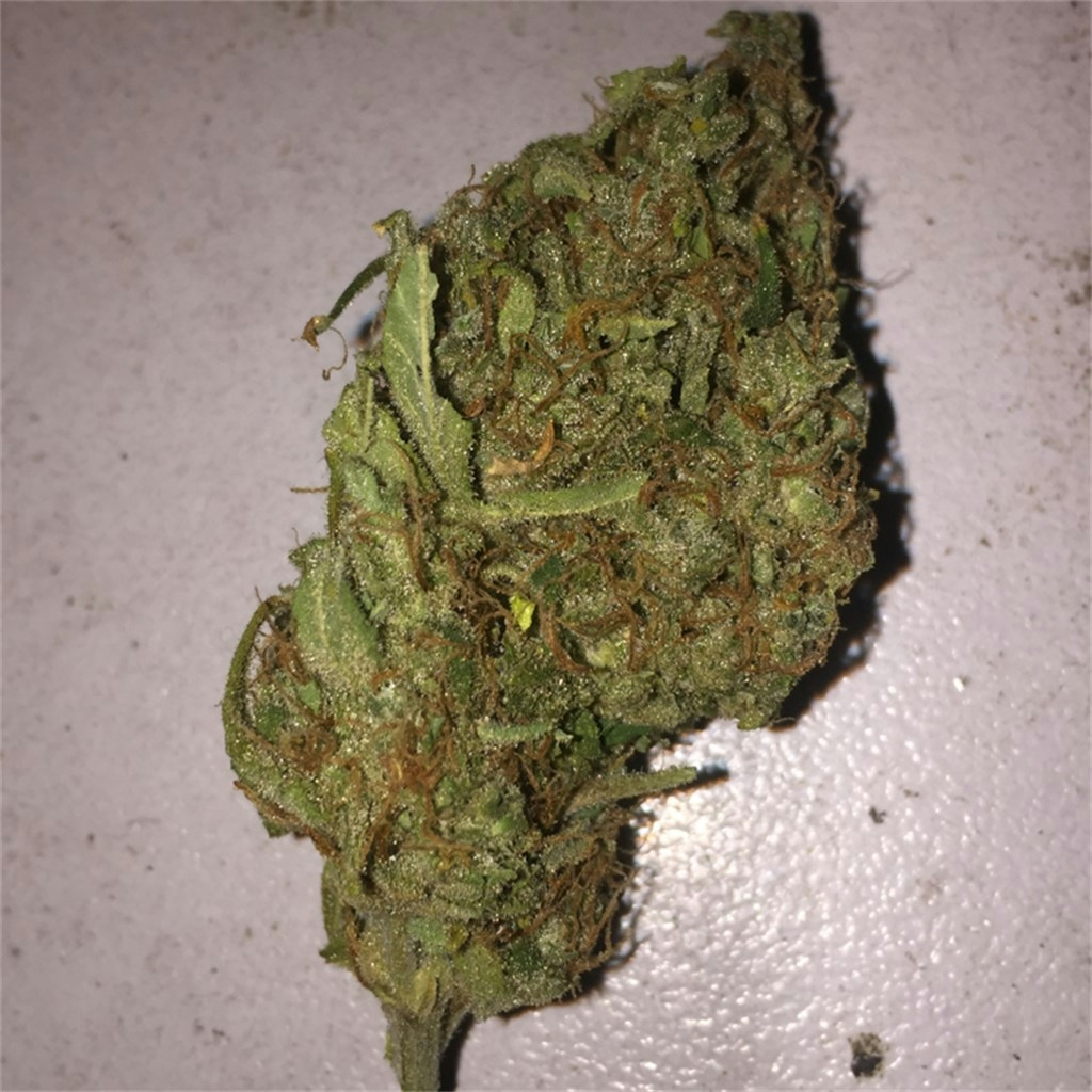 Photos of AK-47 Weed Strain Buds Leafly.