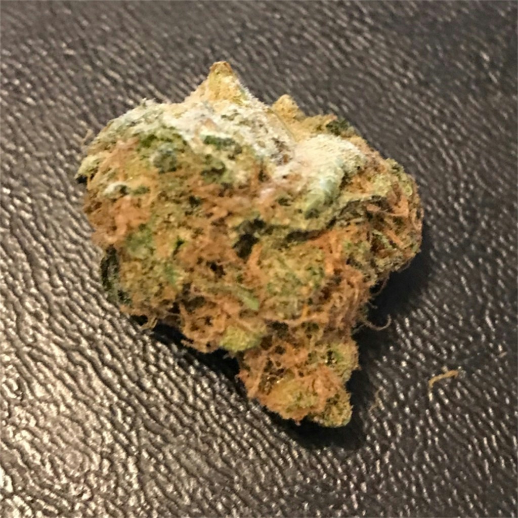 Photos Of Golden Goat Weed Strain Buds Leafly