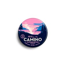 Camino Wild Berry Gummies 20pk 100mg
