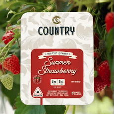 1:1 (THC/CBD) Summer Strawberry Hybrid Gummies 20pk