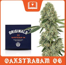 Oakstradam OG 3.5g, Flower