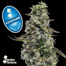 Garden Greens Ice Wookie 3.5g