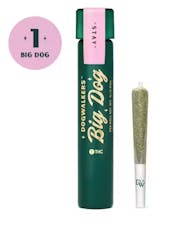 Donut Trip "Stay" Single | 1g, Big Dog Pre-Roll