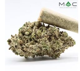 MAC Forbidden Spice 1g