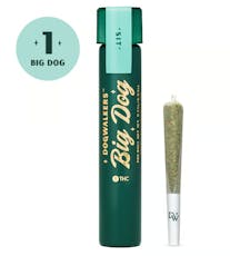 Animal Face "Sit" Single | 1g, Pre-Rolls