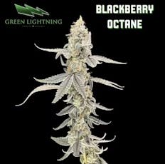 Blackberry Octane 3.5g