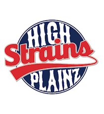 High Plainz Purple Chem Dawg Joint 1 g