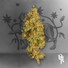 Time Out 1/8th, Premium Whole Flower