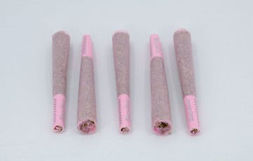 Pink Champagne 0.8g | 5 pack, Pre-Rolls