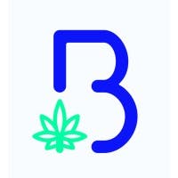 "B" Logo Each