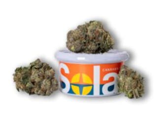 Nimbus Snacks 3.5g, Flower