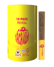 Sofa King | 10-Pack Mini Pre-Rolls | .35g 10 Pack 3.5g
