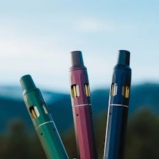 Purple Ice Water / Honey Banana 1 g, Live Disposable