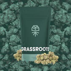 Grassroots Moonbeam Gelato Smalls 14g