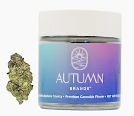 Autumn Brands Purple Carbonite Flower 3.5g