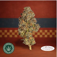 Tony Snow 1/8oz, Premium Whole Flower