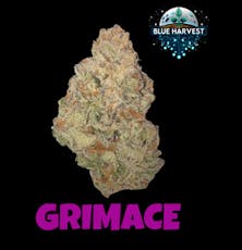 Blue Harvest Grimace Flower 3.5g