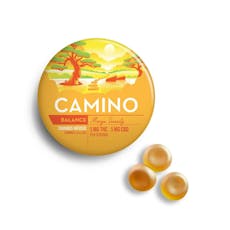 Camino Mango with CBD 1:1 Gummies 20pk