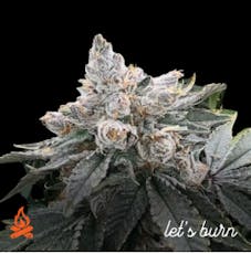 Yeet 3.5g, Whole Flower