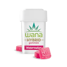 Classic Watermelon 20pk, Gummies