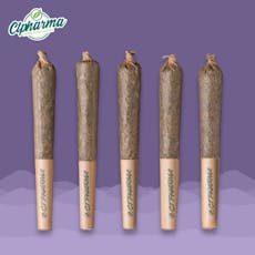 CTPharma Gush Mintz Shorties 5pk