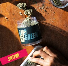 Glue Fondue 3.5g, Whole Flower