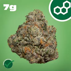 Theraplant Gas Face Whole Flower 7g