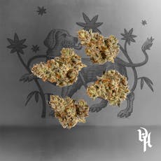 The Hash Burglar 1/8oz, Premium Whole Flower