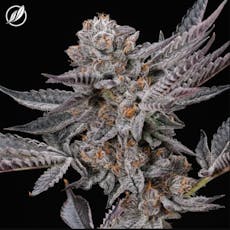 GMO 3.5g, Whole Flower