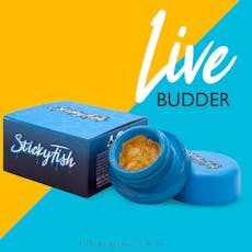 Primetime 0.5g, Live Concentrate