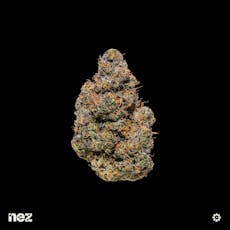 Nez Black Maple #22 Full Buds 14g