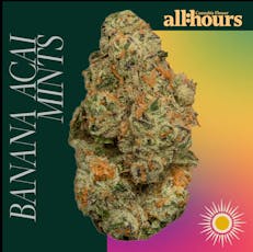 Banana Acai Mints 3.5g, part:timers