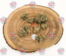 Pillow Factory Bulk PW