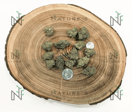 Nature's Bomb Shelf Golden Runtz Bulk