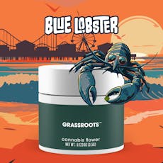 Grassroots Blue Lobster Flower 3.5g