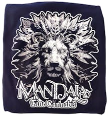 Monochrome Lion Black Women's 2XL, Long Sleeve