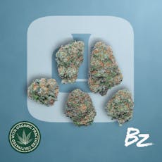 Gush Mints 1/8oz, Premium Whole Flower