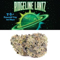 Cookies Ridgeline Lantz Whole Flower 3.5g