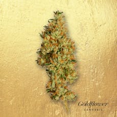 Gucci Berries 1/8oz, Premium Whole Flower