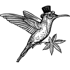 Noble Valley Harvest Co. MAC 1 7g