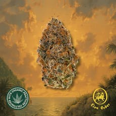 Rum Cake 1/8oz, Premium Whole Flower