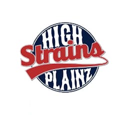 High Plainz Shake Ice Cream Cake Bulk Shake