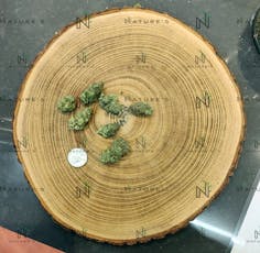 Nature's Connoisseur Shelf Grape Game Bulk