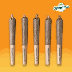 CTPharma Diesel Train Shorties 5pk