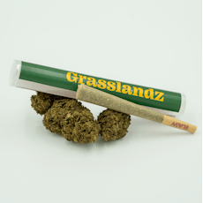 Grasslandz Blueberry Muffin Pre-Roll 1 G