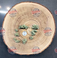 High Plainz Higher Shelf Original Glue Bulk