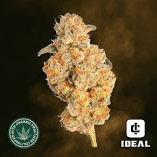 Ideal Cannabis Pablo's Revenge Premium Whole Flower 1/8oz