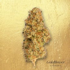 Goldflower Watermelon Gelato (THC 24.1) Premium Whole Flower 1/8oz